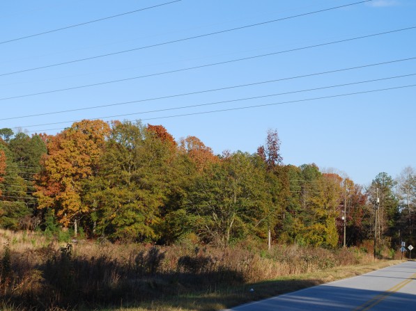 Click to view the next photo.