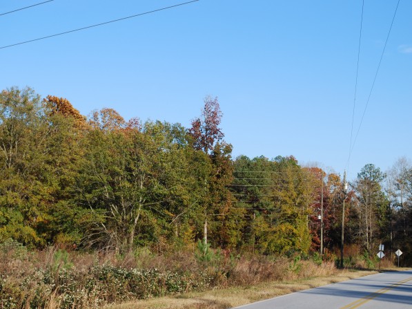 Click to view the next photo.