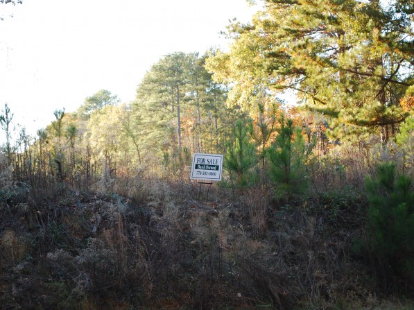 Click to view the next photo.