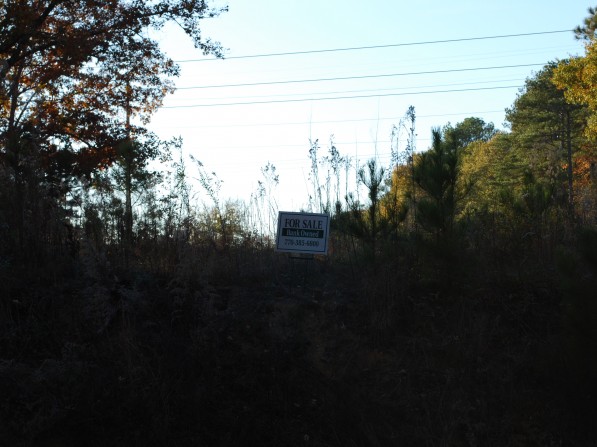 Click to view the next photo.