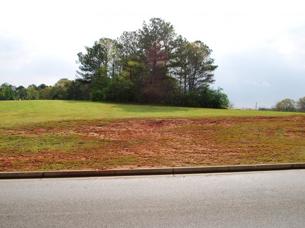 Click to view the next photo.