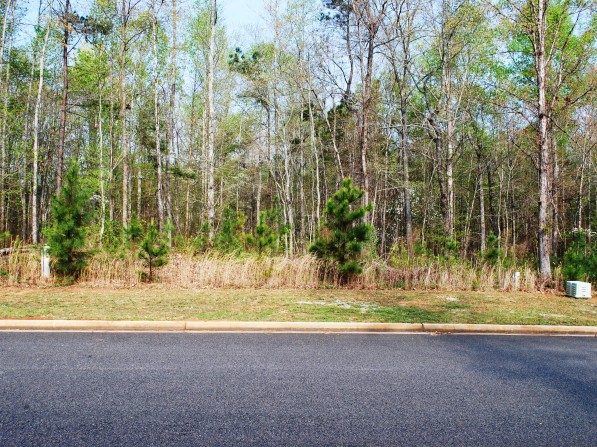 Click to view the next photo.