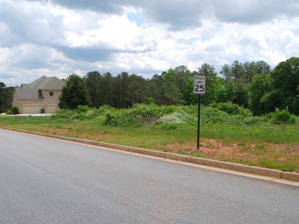 Click to view the next photo.