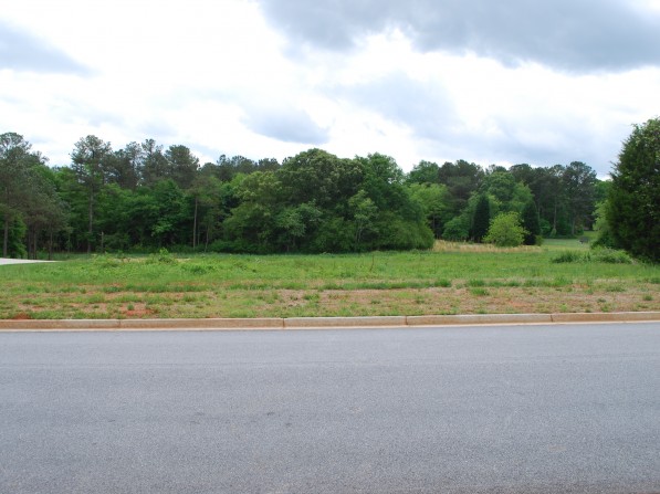 Click to view the next photo.