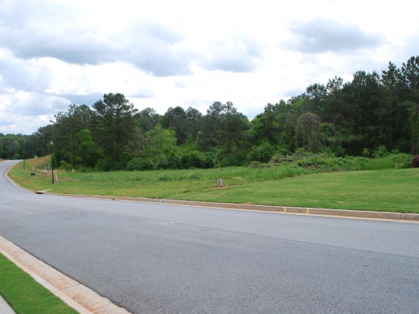 Click to view the next photo.