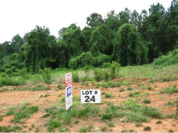 Click to view the next photo.