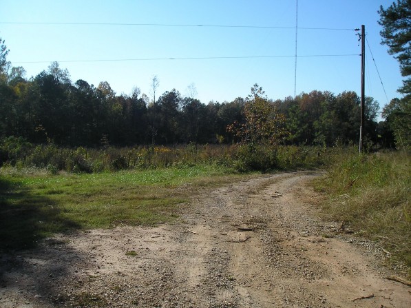 Click to view the next photo.