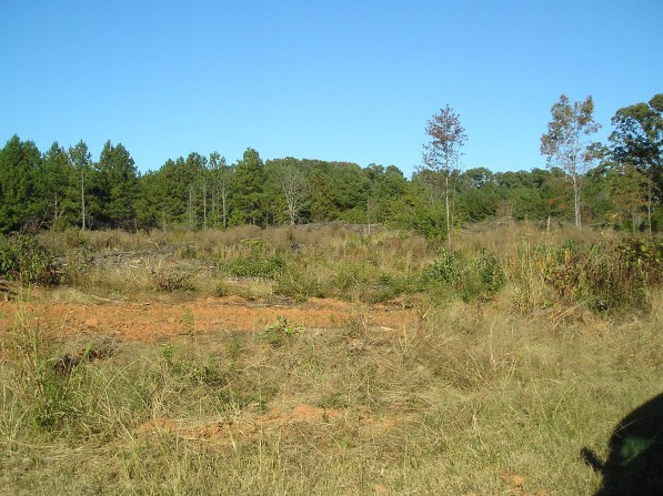 Click to view the next photo.