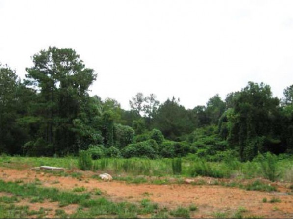 Click to view the next photo.