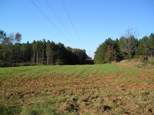 Click to view the next photo.