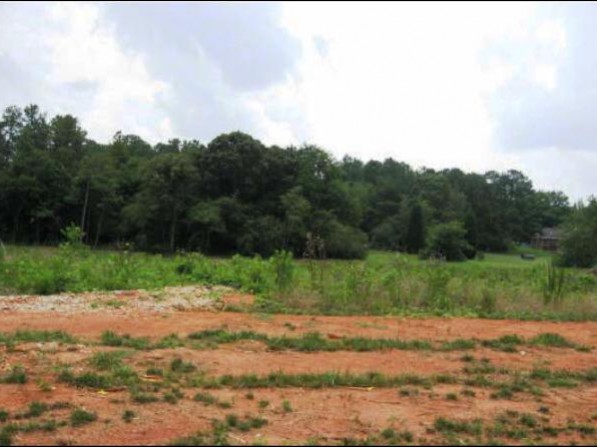 Click to view the next photo.