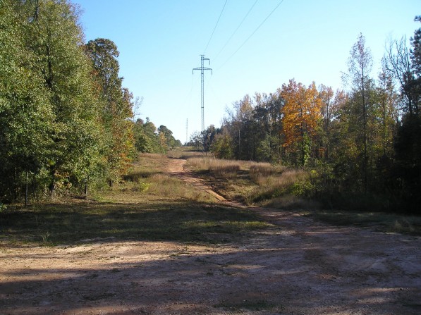 Click to view the next photo.