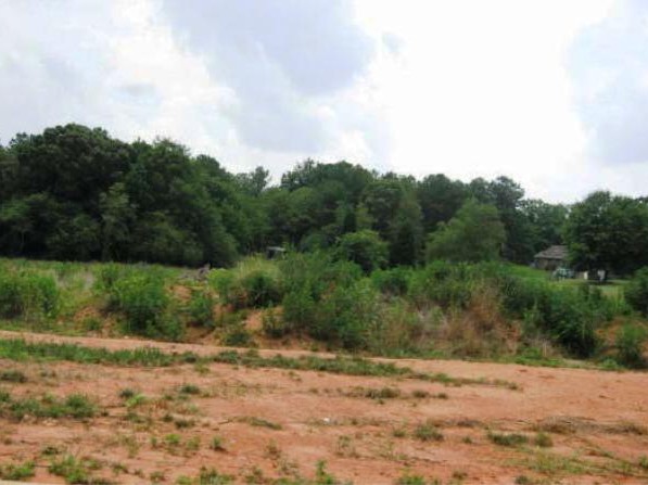 Click to view the next photo.