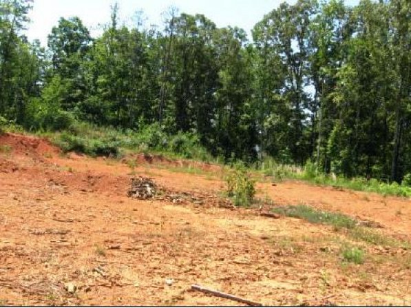 Click to view the next photo.