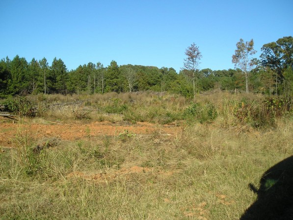 Click to view the next photo. Click to view the next photo.