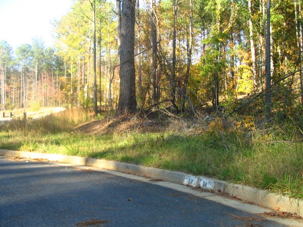 Click to view the next photo.